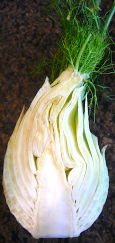 Fennel1