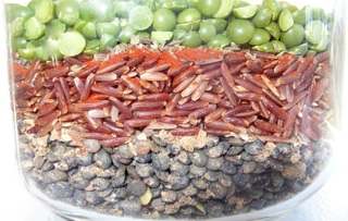 lentils3